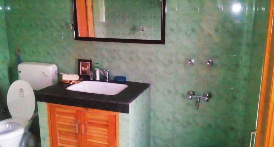 Silver Streak Cottage, Manali 4